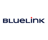 BlueLink International CZ